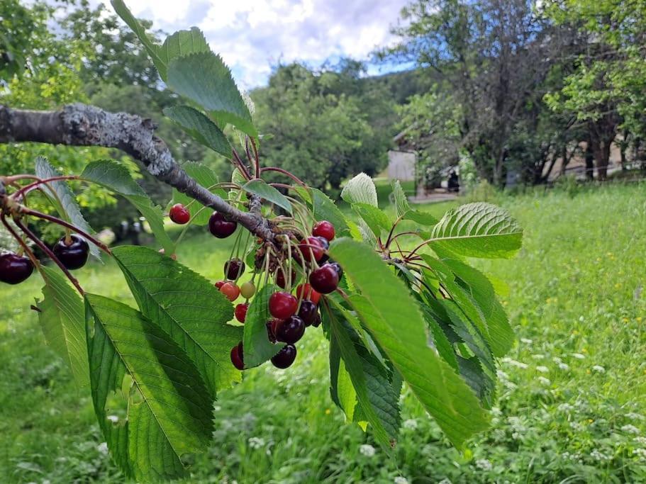 Pod Vinogradi Daire Skocjan  Dış mekan fotoğraf