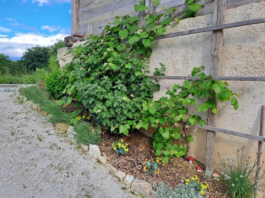 Pod Vinogradi Daire Skocjan  Dış mekan fotoğraf