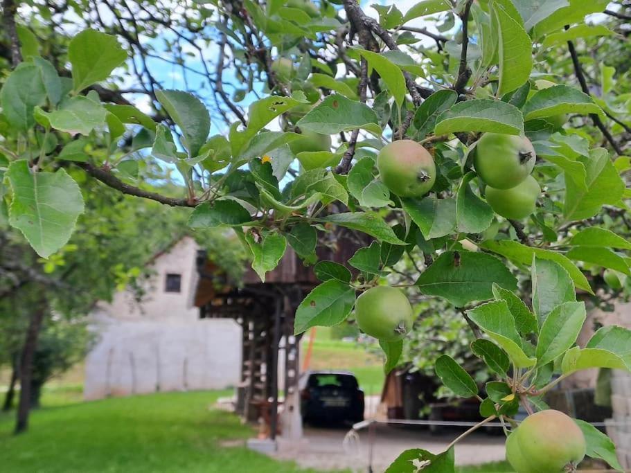 Pod Vinogradi Daire Skocjan  Dış mekan fotoğraf