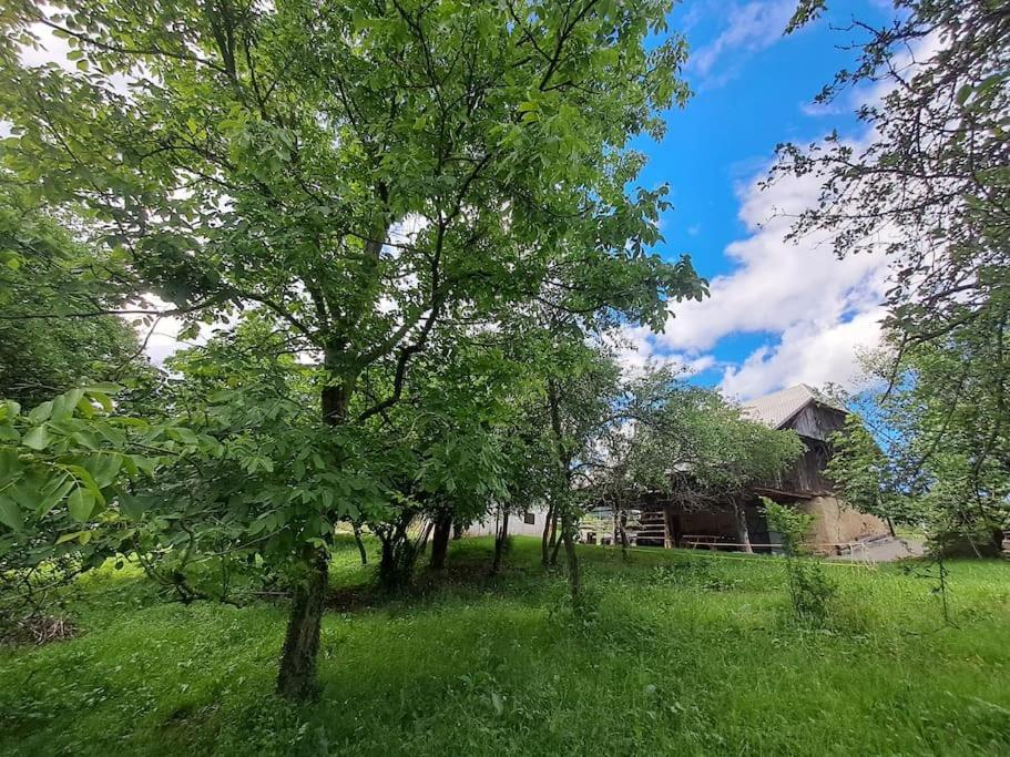 Pod Vinogradi Daire Skocjan  Dış mekan fotoğraf